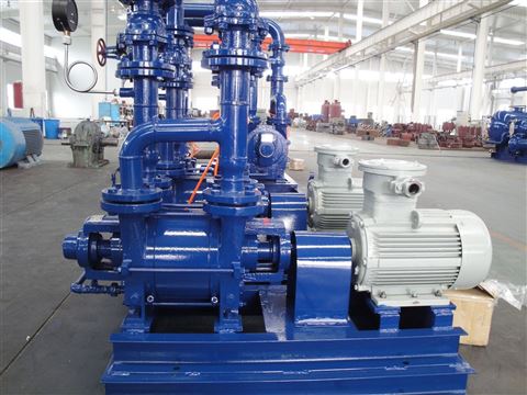 2BE3液環(huán)真空泵及壓縮機(jī) 沃爾姆國(guó)產(chǎn)品牌的卓越選擇